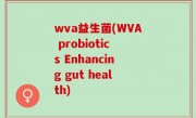 wva益生菌(WVA probiotics Enhancing gut health)