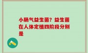 小肠气益生菌？益生菌在人体定植四阶段分别是