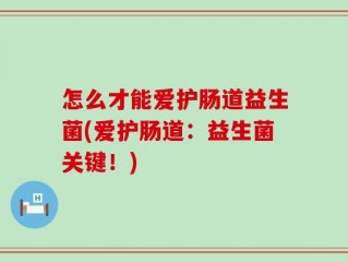 怎么才能爱护肠道益生菌(爱护肠道：益生菌关键！)