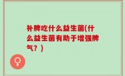补脾吃什么益生菌(什么益生菌有助于增强脾气？)
