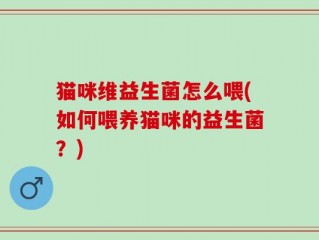 猫咪维益生菌怎么喂(如何喂养猫咪的益生菌？)
