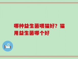 哪种益生菌喂猫好？猫用益生菌哪个好