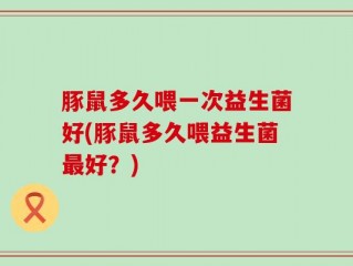 豚鼠多久喂一次益生菌好(豚鼠多久喂益生菌最好？)