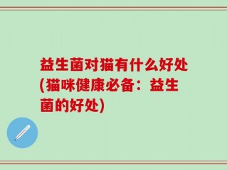 益生菌对猫有什么好处(猫咪健康必备：益生菌的好处)