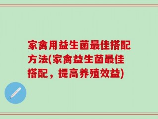 家禽用益生菌最佳搭配方法(家禽益生菌最佳搭配，提高养殖效益)