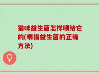 猫咪益生菌怎样喂给它的(喂猫益生菌的正确方法)