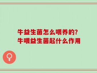 牛益生菌怎么喂养的？牛喂益生菌起什么作用