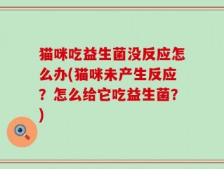 猫咪吃益生菌没反应怎么办(猫咪未产生反应？怎么给它吃益生菌？)