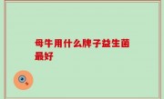 母牛用什么牌子益生菌最好