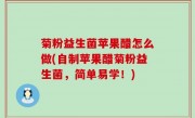 菊粉益生菌苹果醋怎么做(自制苹果醋菊粉益生菌，简单易学！)