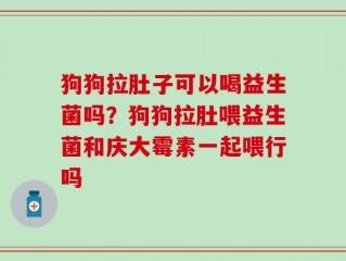 狗狗拉肚子可以喝益生菌吗？狗狗拉肚喂益生菌和庆大霉素一起喂行吗