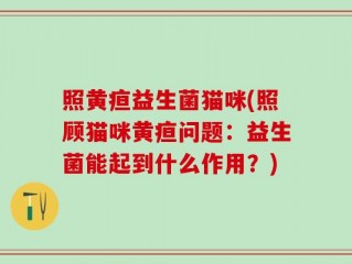照黄疸益生菌猫咪(照顾猫咪黄疸问题：益生菌能起到什么作用？)