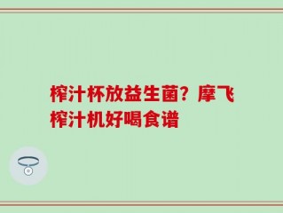 榨汁杯放益生菌？摩飞榨汁机好喝食谱