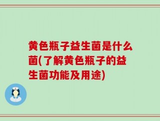黄色瓶子益生菌是什么菌(了解黄色瓶子的益生菌功能及用途)