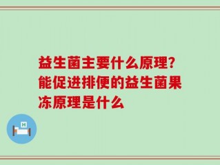益生菌主要什么原理？能促进排便的益生菌果冻原理是什么