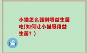 小猫怎么强制喂益生菌吃(如何让小猫服用益生菌？)