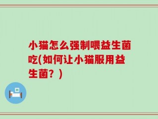 小猫怎么强制喂益生菌吃(如何让小猫服用益生菌？)