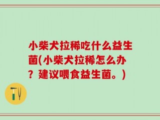 小柴犬拉稀吃什么益生菌(小柴犬拉稀怎么办？建议喂食益生菌。)