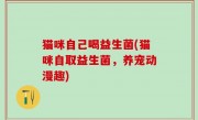 猫咪自己喝益生菌(猫咪自取益生菌，养宠动漫趣)