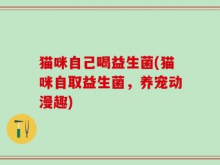 猫咪自己喝益生菌(猫咪自取益生菌，养宠动漫趣)