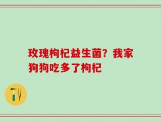 玫瑰枸杞益生菌？我家狗狗吃多了枸杞
