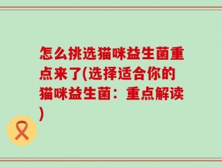怎么挑选猫咪益生菌重点来了(选择适合你的猫咪益生菌：重点解读)
