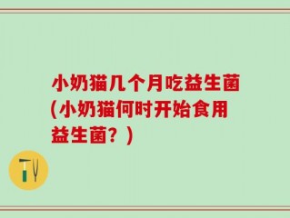 小奶猫几个月吃益生菌(小奶猫何时开始食用益生菌？)