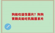 狗能吃益生菌片？狗狗胃肠炎能吃乳酸菌素片