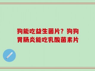 狗能吃益生菌片？狗狗胃肠炎能吃乳酸菌素片