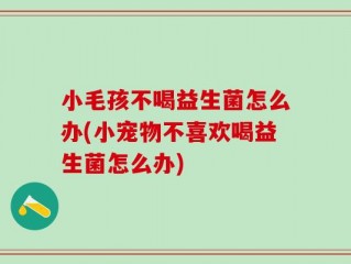 小毛孩不喝益生菌怎么办(小宠物不喜欢喝益生菌怎么办)