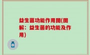 益生菌功能作用图(图解：益生菌的功能及作用)
