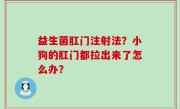 益生菌肛门注射法？小狗的肛门都拉出来了怎么办？
