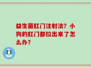 益生菌肛门注射法？小狗的肛门都拉出来了怎么办？