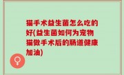 猫手术益生菌怎么吃的好(益生菌如何为宠物猫做手术后的肠道健康加油)