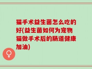 猫手术益生菌怎么吃的好(益生菌如何为宠物猫做手术后的肠道健康加油)