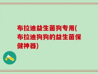 布拉迪益生菌狗专用(布拉迪狗狗的益生菌保健神器)