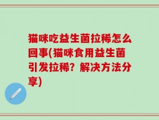 猫咪吃益生菌拉稀怎么回事(猫咪食用益生菌引发拉稀？解决方法分享)