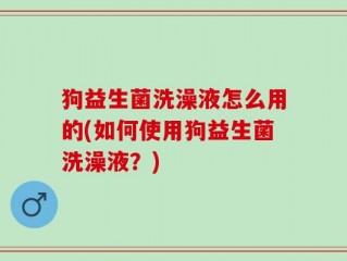 狗益生菌洗澡液怎么用的(如何使用狗益生菌洗澡液？)