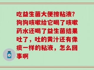 吃益生菌大便擦粘液？狗狗咳嗽给它喝了咳嗽药水还喝了益生菌结果吐了，吐的黄汁还有像痰一样的粘液，怎么回事啊