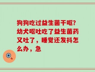 狗狗吃过益生菌干呕？幼犬呕吐吃了益生菌药又吐了，睡觉还发抖怎么办，急