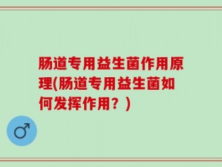 肠道专用益生菌作用原理(肠道专用益生菌如何发挥作用？)