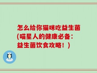 怎么给你猫咪吃益生菌(喵星人的健康必备：益生菌饮食攻略！)