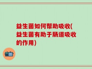 益生菌如何帮助吸收(益生菌有助于肠道吸收的作用)