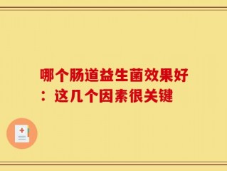 哪个肠道益生菌效果好：这几个因素很关键