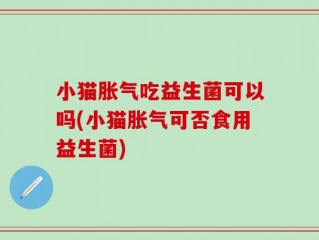 小猫胀气吃益生菌可以吗(小猫胀气可否食用益生菌)