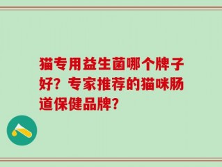 猫专用益生菌哪个牌子好？专家推荐的猫咪肠道保健品牌？