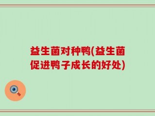 益生菌对种鸭(益生菌促进鸭子成长的好处)