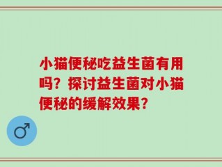 小猫便秘吃益生菌有用吗？探讨益生菌对小猫便秘的缓解效果？