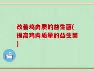 改善鸡肉质的益生菌(提高鸡肉质量的益生菌)