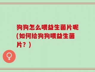 狗狗怎么喂益生菌片呢(如何给狗狗喂益生菌片？)